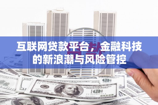 狮子山互联网贷款平台，金融科技的新浪潮与风险管控
