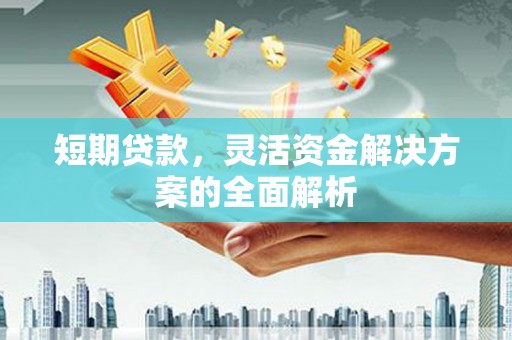 狮子山短期贷款，灵活资金解决方案的全面解析