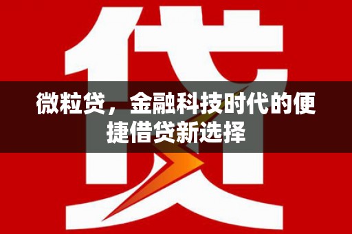 狮子山微粒贷，金融科技时代的便捷借贷新选择