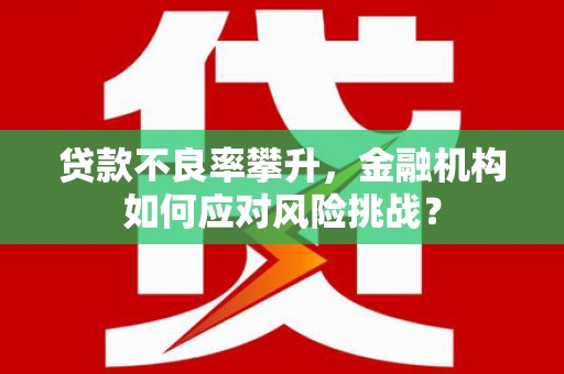 狮子山贷款不良率攀升，金融机构如何应对风险挑战？