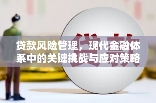 狮子山贷款风险管理，现代金融体系中的关键挑战与应对策略