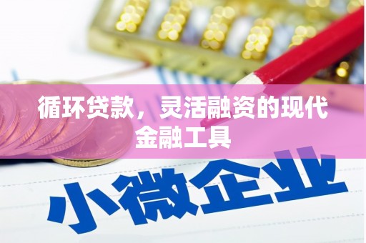 狮子山循环贷款，灵活融资的现代金融工具