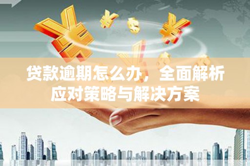 狮子山贷款逾期怎么办，全面解析应对策略与解决方案