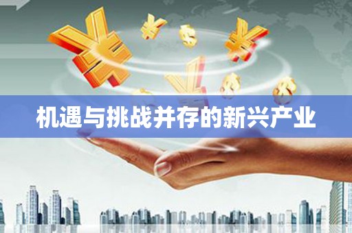 狮子山机遇与挑战并存的新兴产业