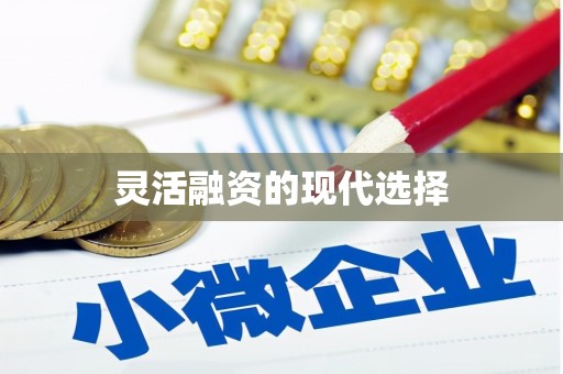 狮子山灵活融资的现代选择