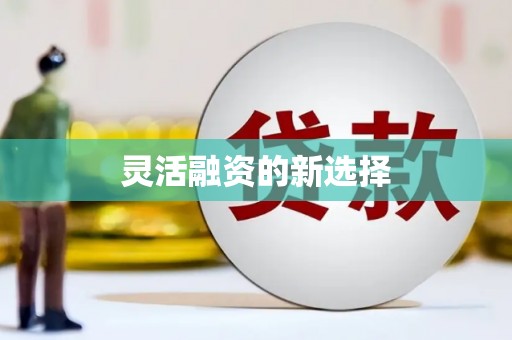 狮子山灵活融资的新选择