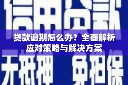 狮子山贷款逾期怎么办？全面解析应对策略与解决方案