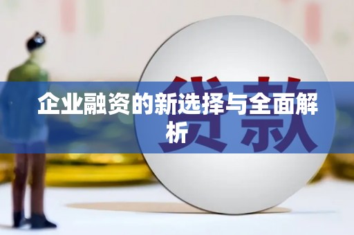 狮子山企业融资的新选择与全面解析