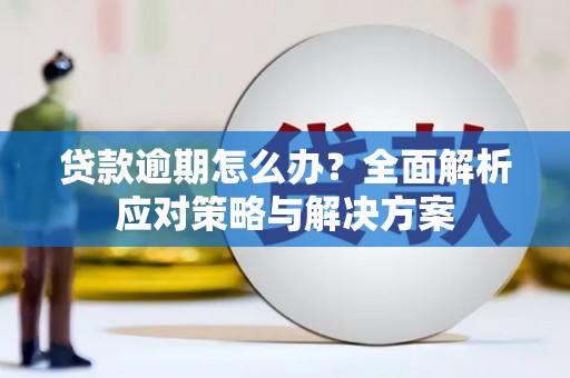 狮子山贷款逾期怎么办？全面解析应对策略与解决方案