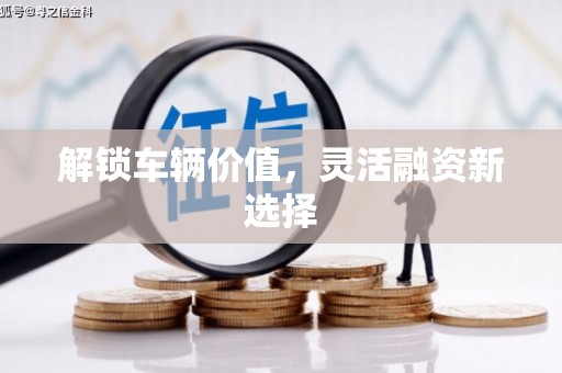 狮子山解锁车辆价值，灵活融资新选择
