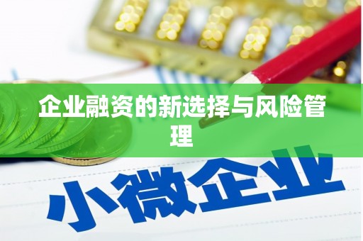 狮子山企业融资的新选择与风险管理