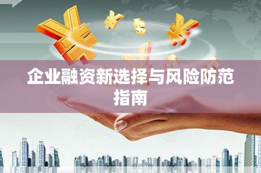 狮子山企业融资新选择与风险防范指南