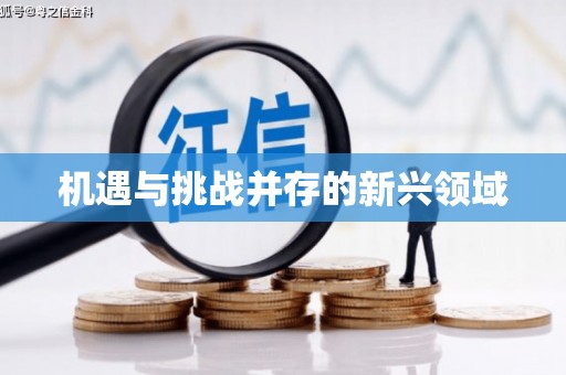 狮子山机遇与挑战并存的新兴领域