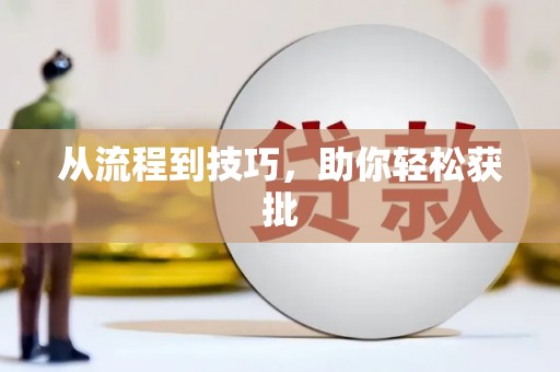 狮子山从流程到技巧，助你轻松获批