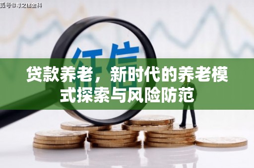 狮子山贷款养老，新时代的养老模式探索与风险防范