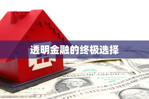 狮子山透明金融的终极选择
