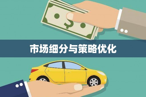 狮子山市场细分与策略优化