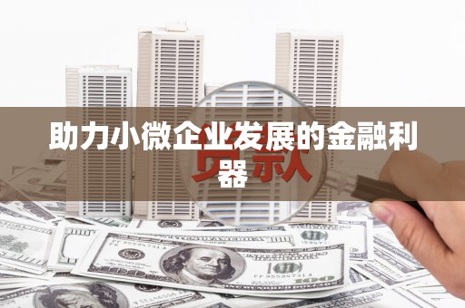 狮子山助力小微企业发展的金融利器