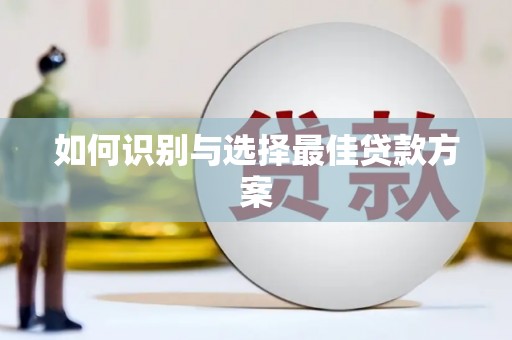 狮子山如何识别与选择最佳贷款方案