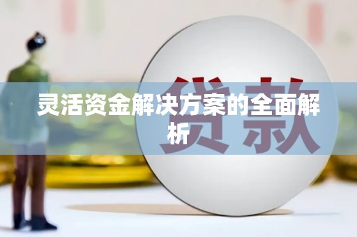 狮子山灵活资金解决方案的全面解析