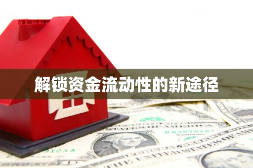 狮子山解锁资金流动性的新途径