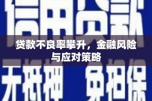 狮子山贷款不良率攀升，金融风险与应对策略