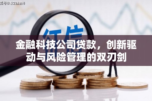 狮子山金融科技公司贷款，创新驱动与风险管理的双刃剑